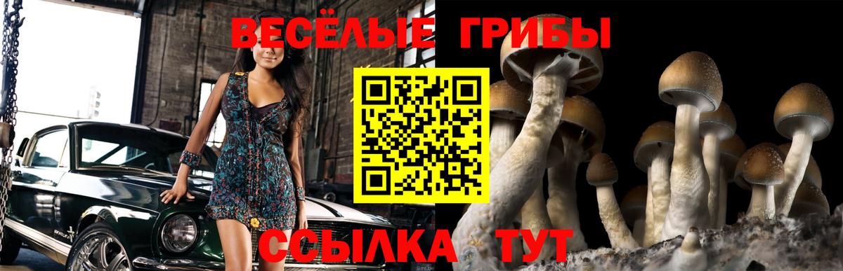 Псилоцибиновые грибы мухоморы Коломна