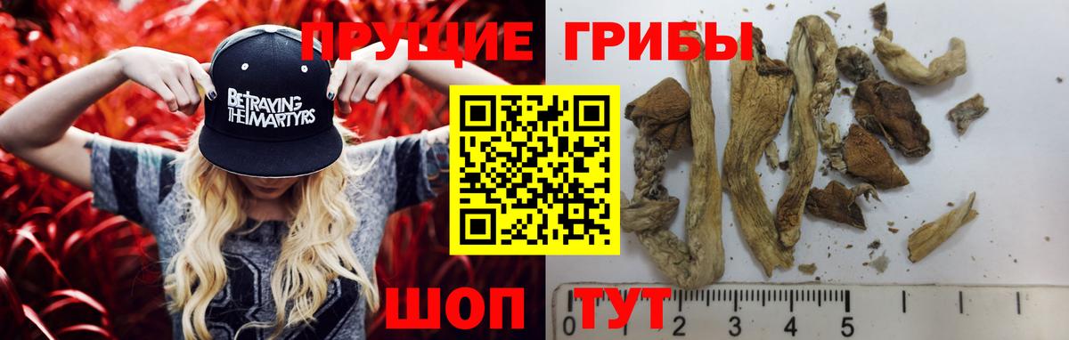 Коломна  Галлюциногенные грибы GOLDEN TEACHER  Вход с VPN 
